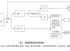惋惜 关于一位术后2期肺腺癌病友止步4年最终陷于脑转骨转乱局的思考