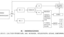 惋惜 关于一位术后2期肺腺癌病友止步4年最终陷于脑转骨转乱局的思考