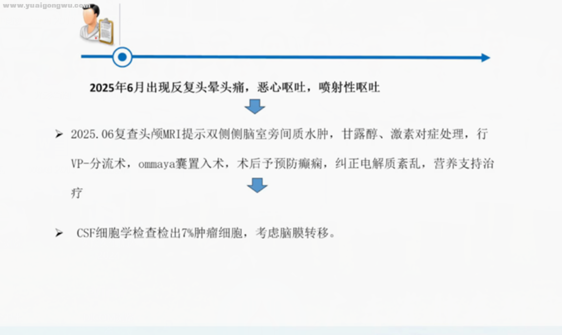 脑膜4.png